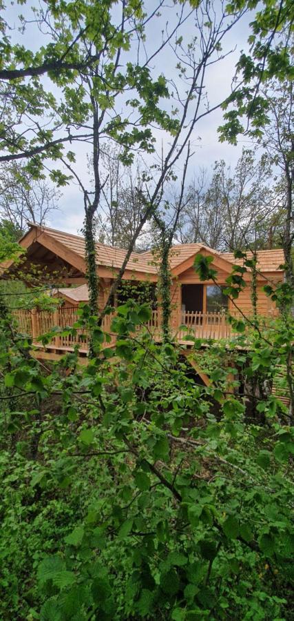 Dome A Bulles Villa Orcines Exterior foto